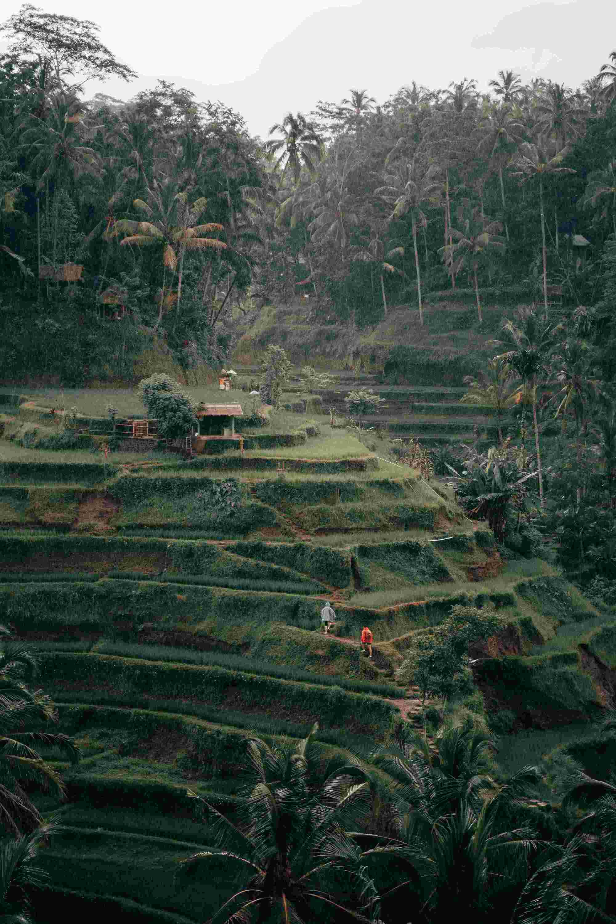 coba