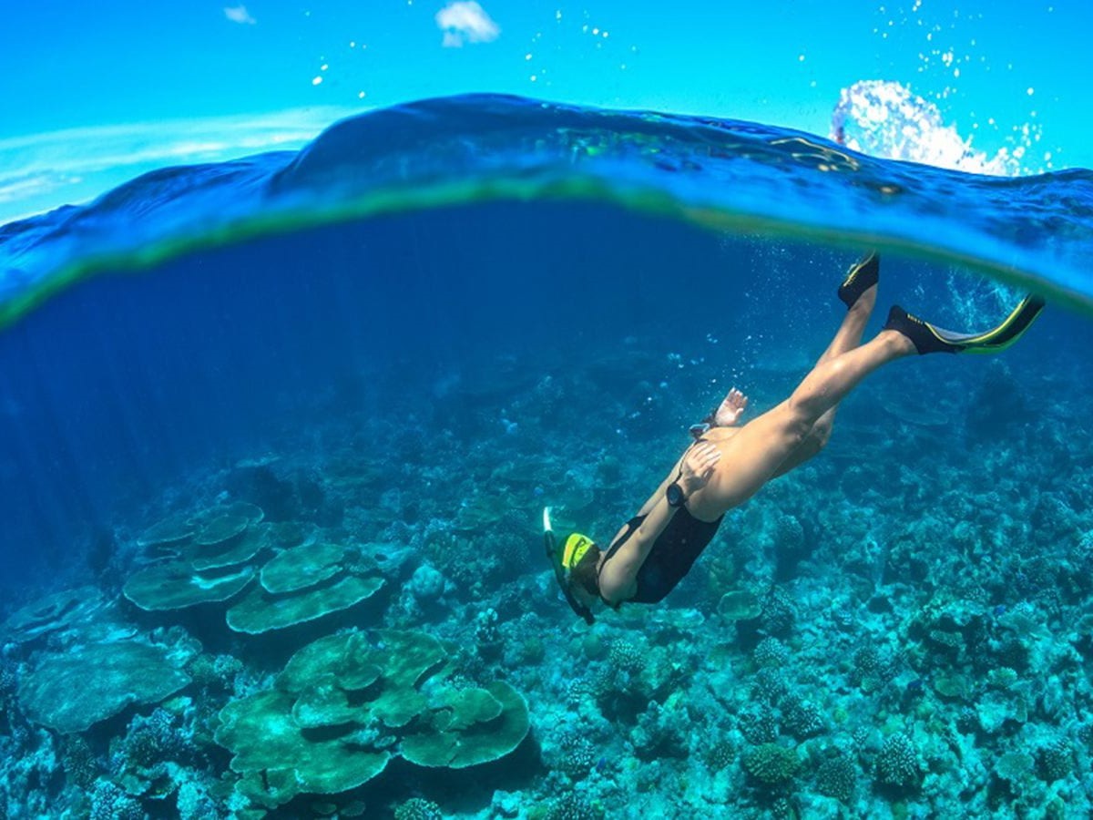 Snorkeling dan Selam